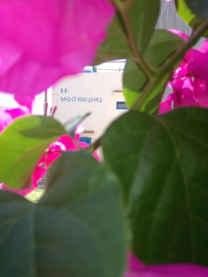 Mediterranea Guesthouse B&B Portopalo Di Capo Passero Exteriér fotografie